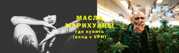 прущие грибы Гусиноозёрск