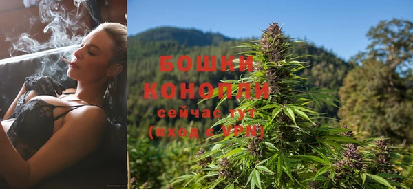 спиды Бородино