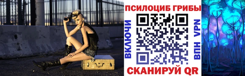 Псилоцибиновые грибы GOLDEN TEACHER Новоалександровск