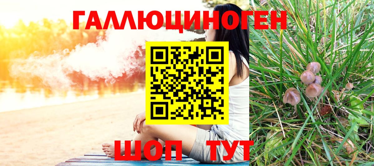 Галлюциногенные грибы Cubensis  Вход с VPN  Новоалександровск 